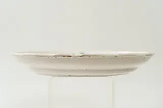 Farfurie de formă aplatizată, cu marginea lată, răsfrântă, ușor concavă spre interior și muchie ușor ondulată. Decorul, dispus pe un fond alb, prin pictare, este format din motive florale fin stilizate (flori și frunze), dispuse central, pe fundul farfuriei, și pe buza acesteia. Cromatica decorului: alb, verde, brun, galben-ocru, albastru., 1850