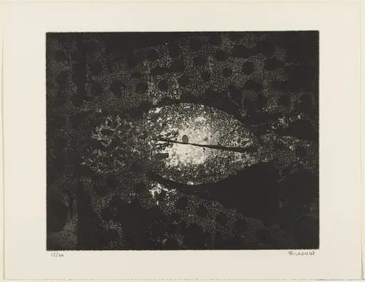 Untitled, by Farnese de Andrade-Neto