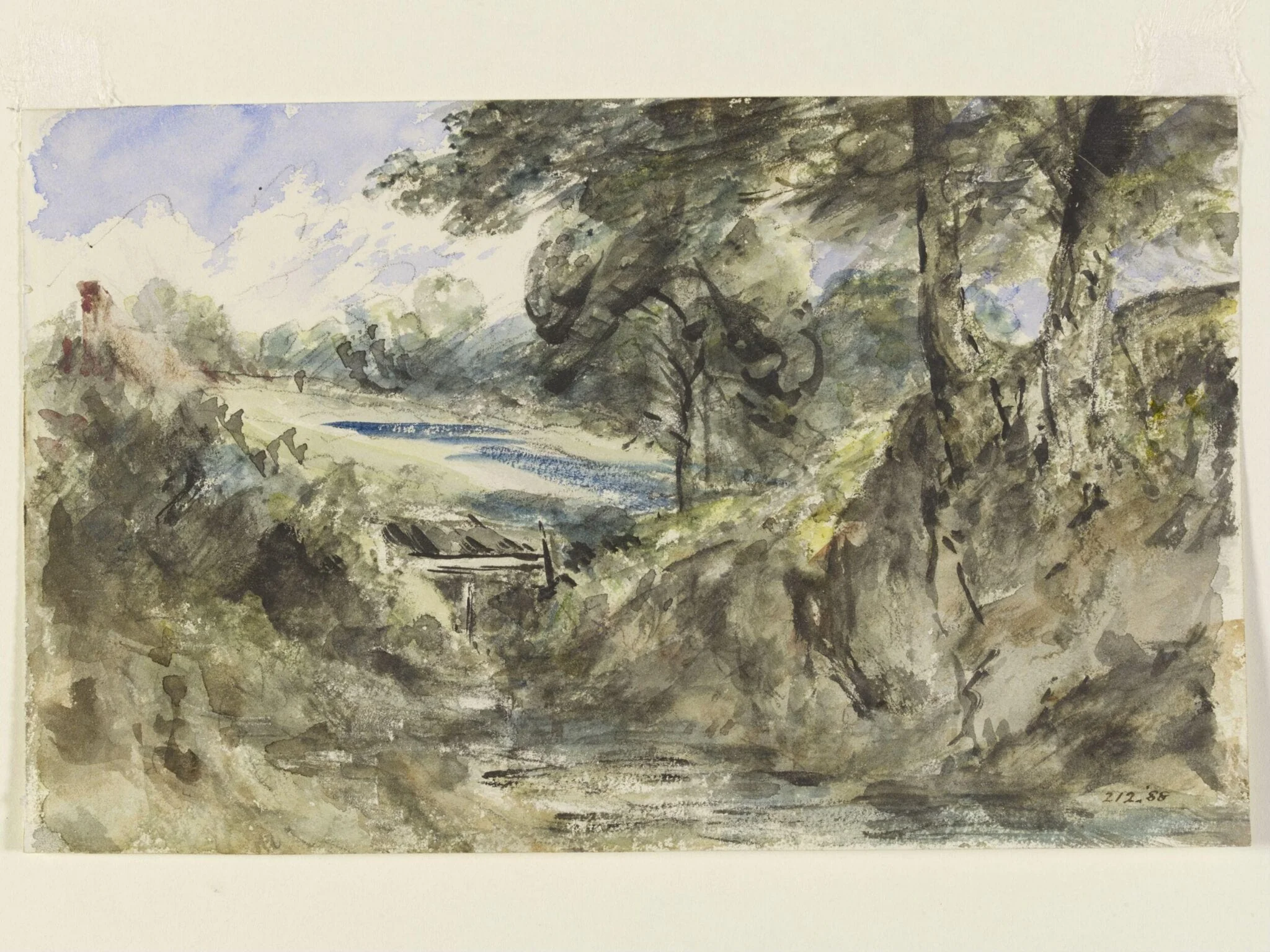 A brook with a high bank, detail
