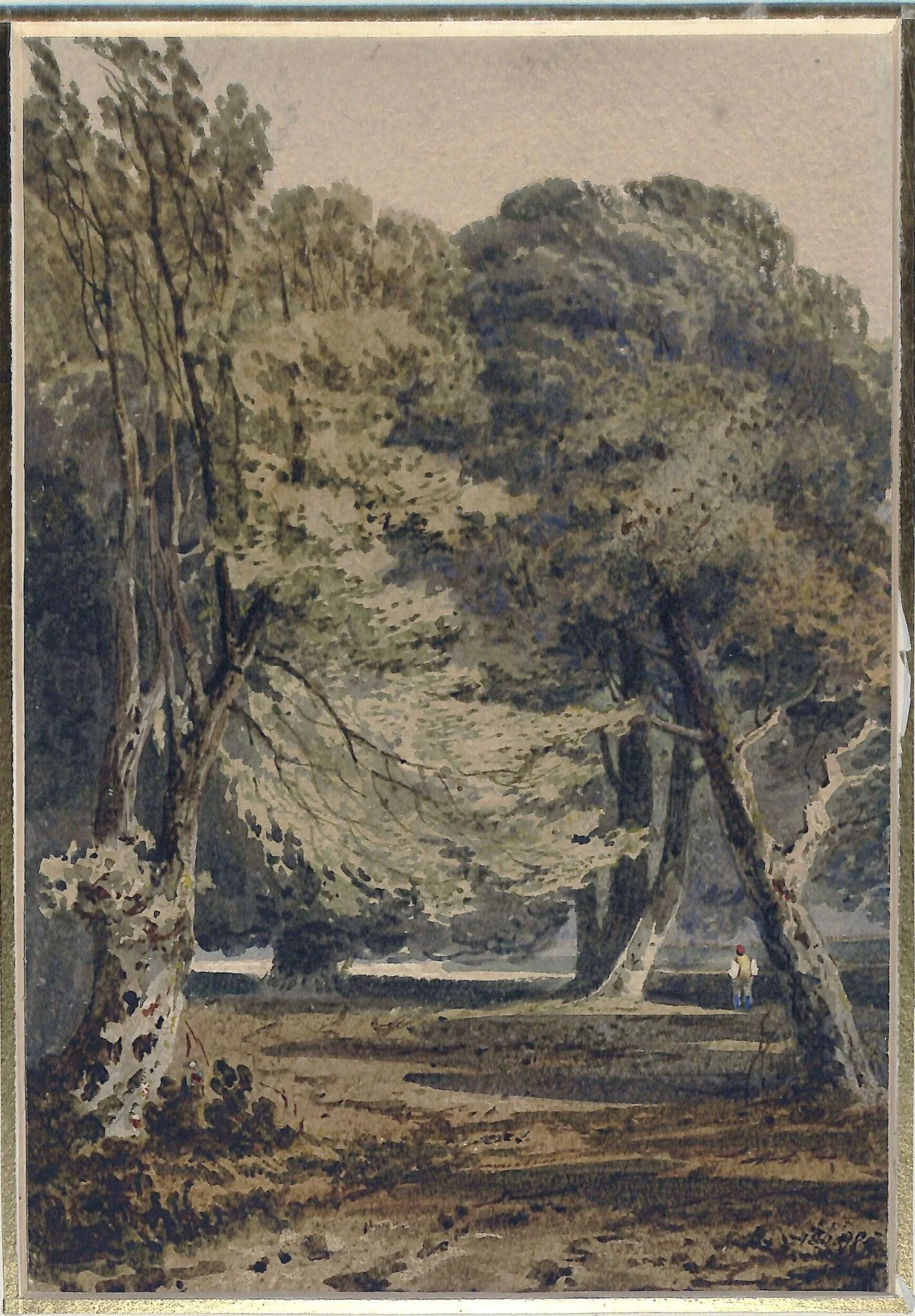 Woodland scene, detail