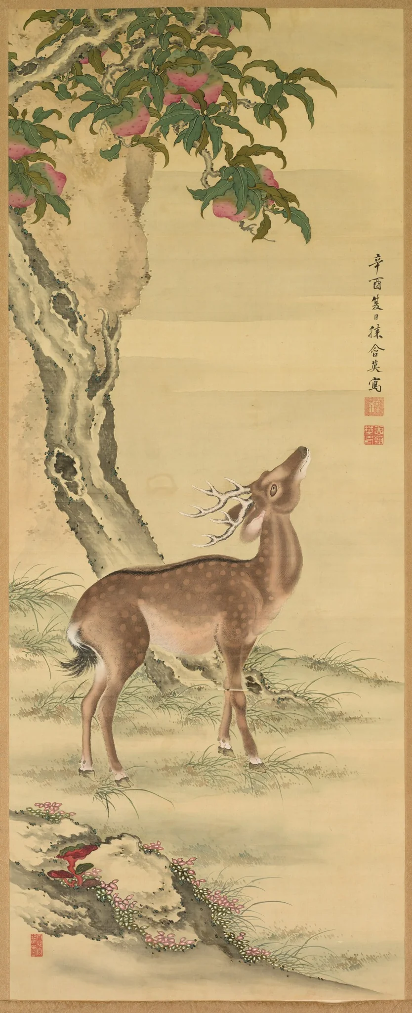 Symbols of Longevity: Deer under Peach and Pine (Pine) (right), detail