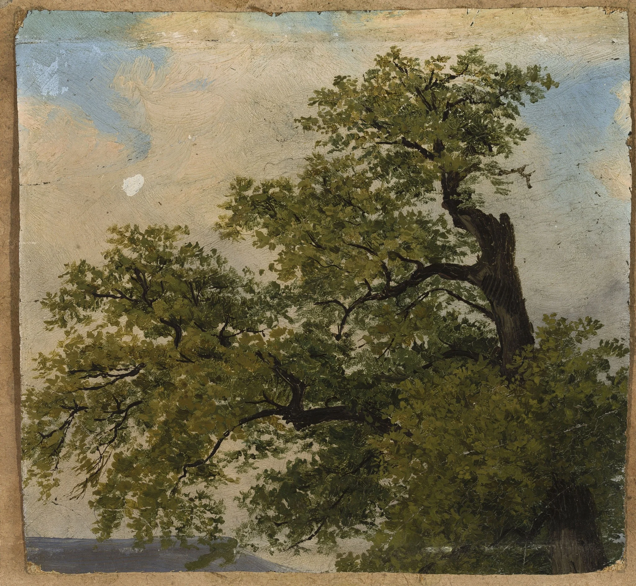 Trees, detail