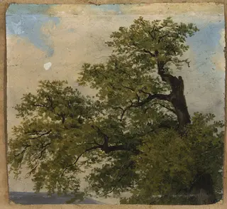 Trees, by Julius Schoppe, oil, 1841