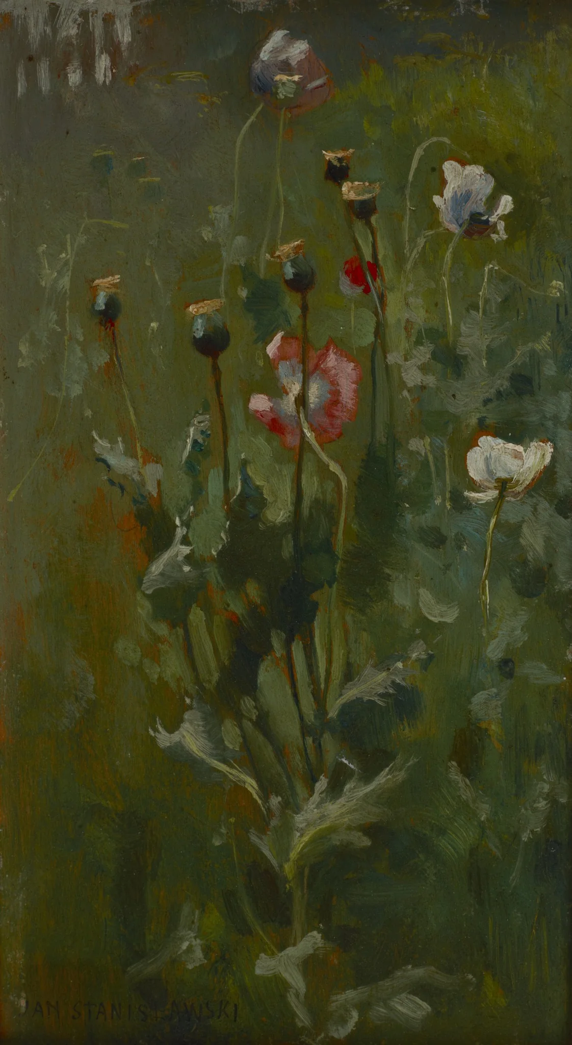 Poppies in Bloom, detail