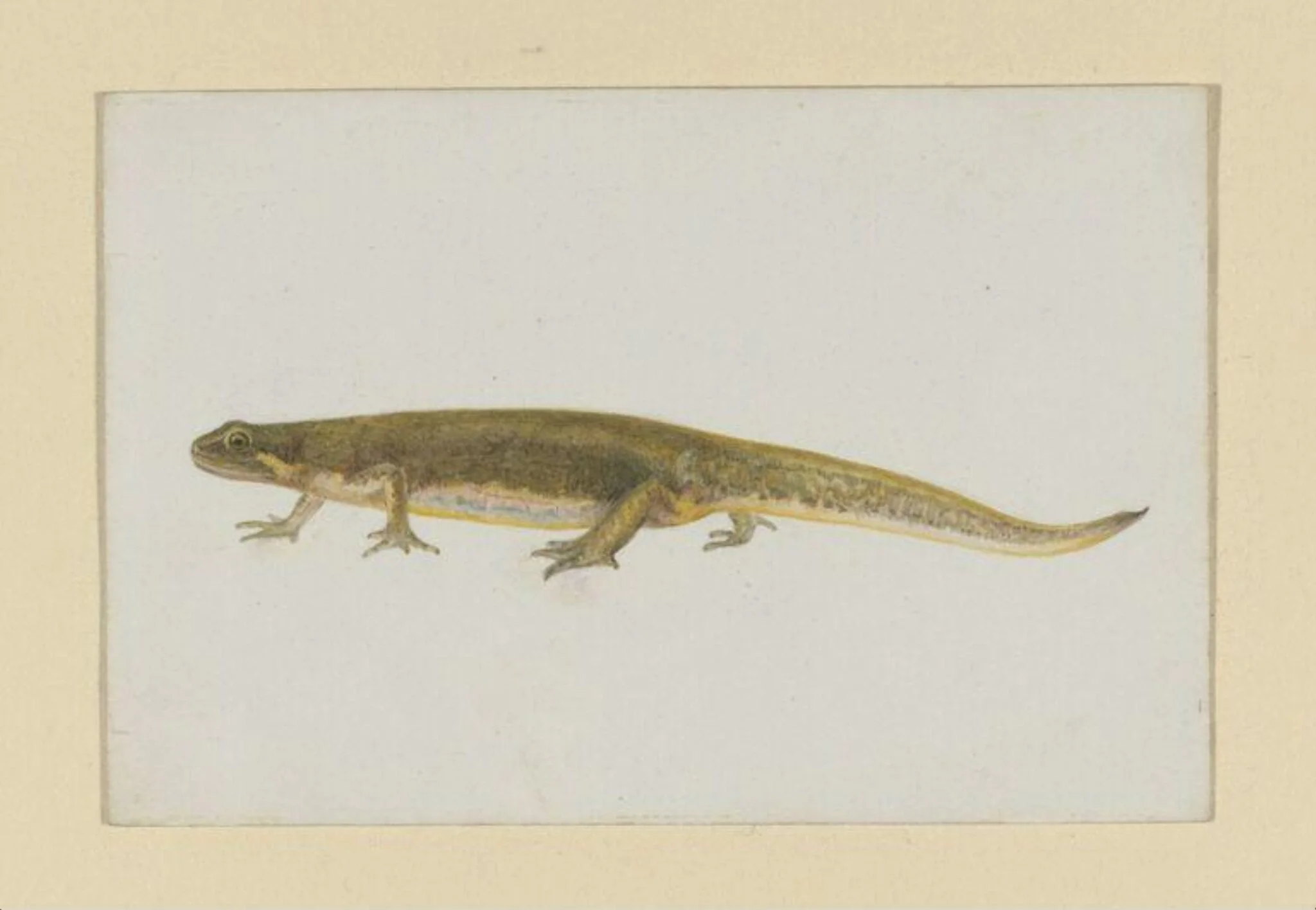 Untitled, detail