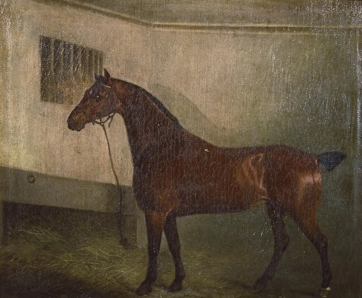 Portrait of a hunter in stable, detail