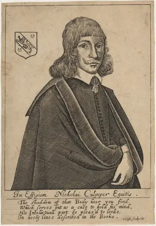 Nicholai Culpeper, Equitus, by Thomas Cross, ink, 1653