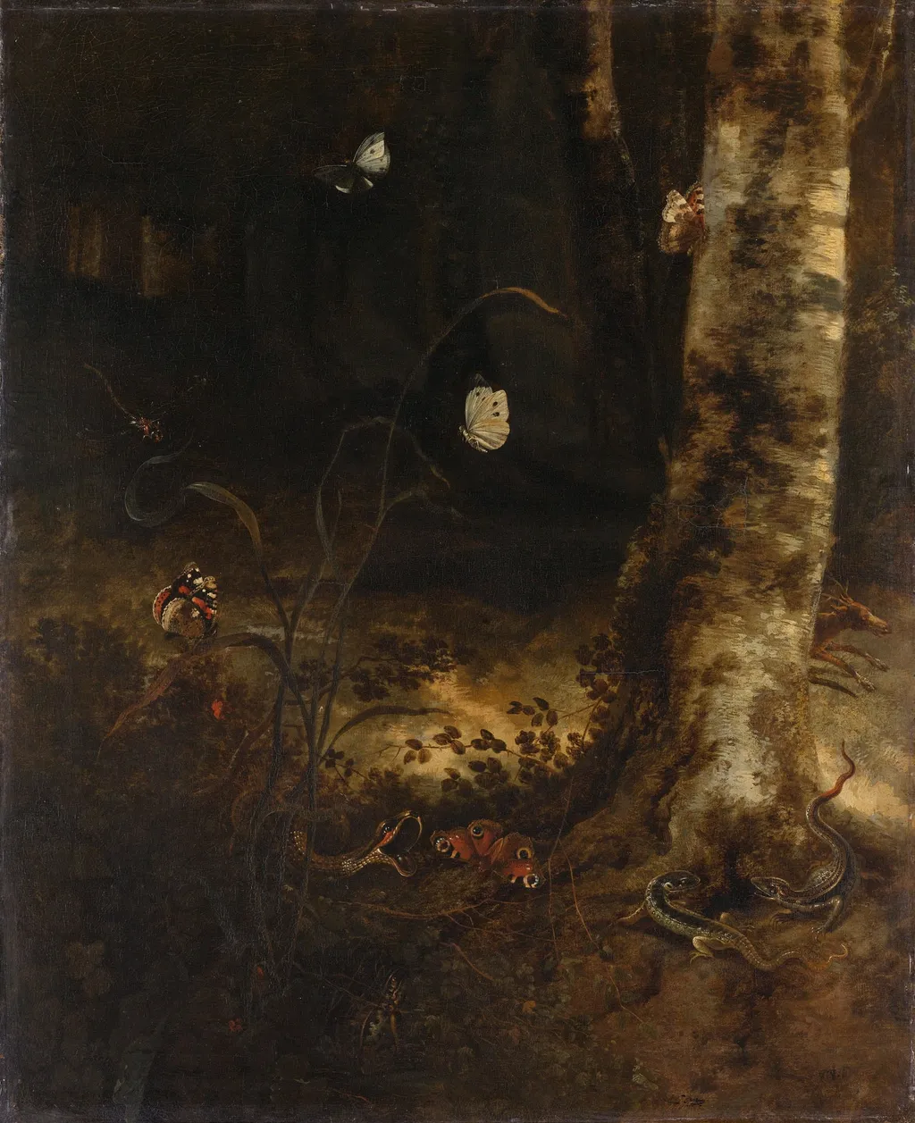 Forest Floor with a Snake, Lizards, Butterflies and other Insects, by Otto Marseus van Schrieck, unspecified, 1664