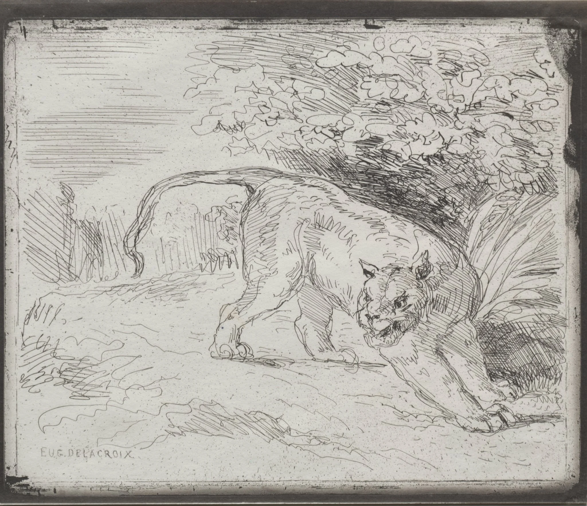 A Trapped Tiger, detail