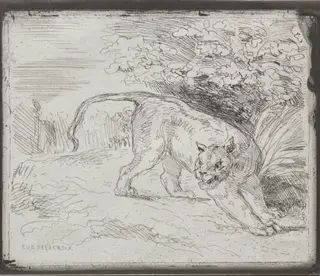 A Trapped Tiger, by Eugène Delacroix, 1854