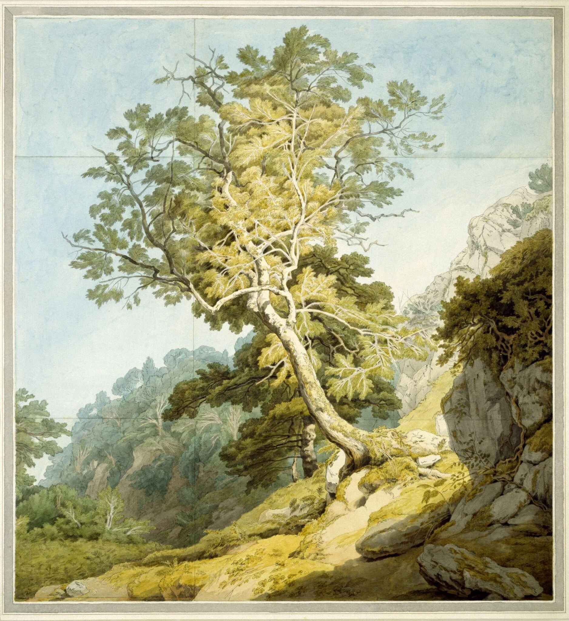 View near Canonteign, Devon, detail