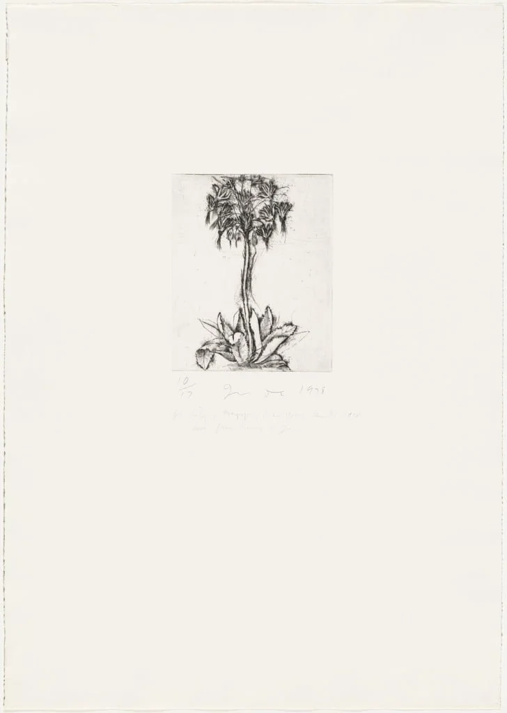 Untitled, detail