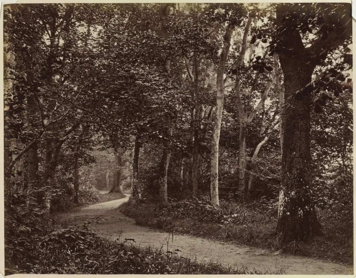 Untitled (Landscape), detail