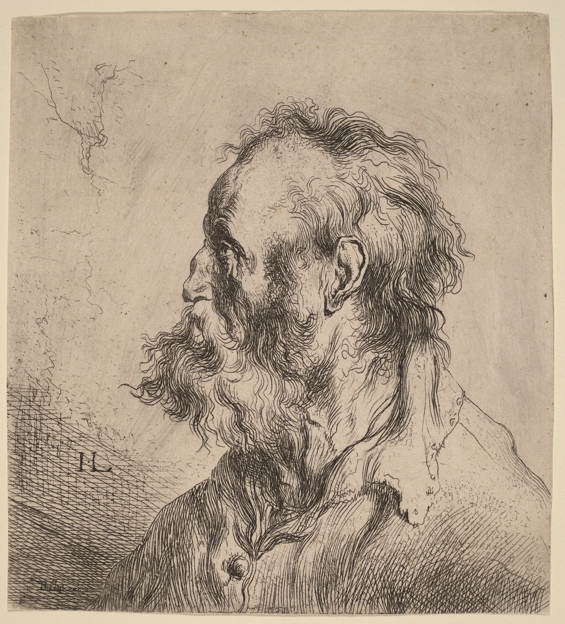 Bust of a Bearded Old Man, detail