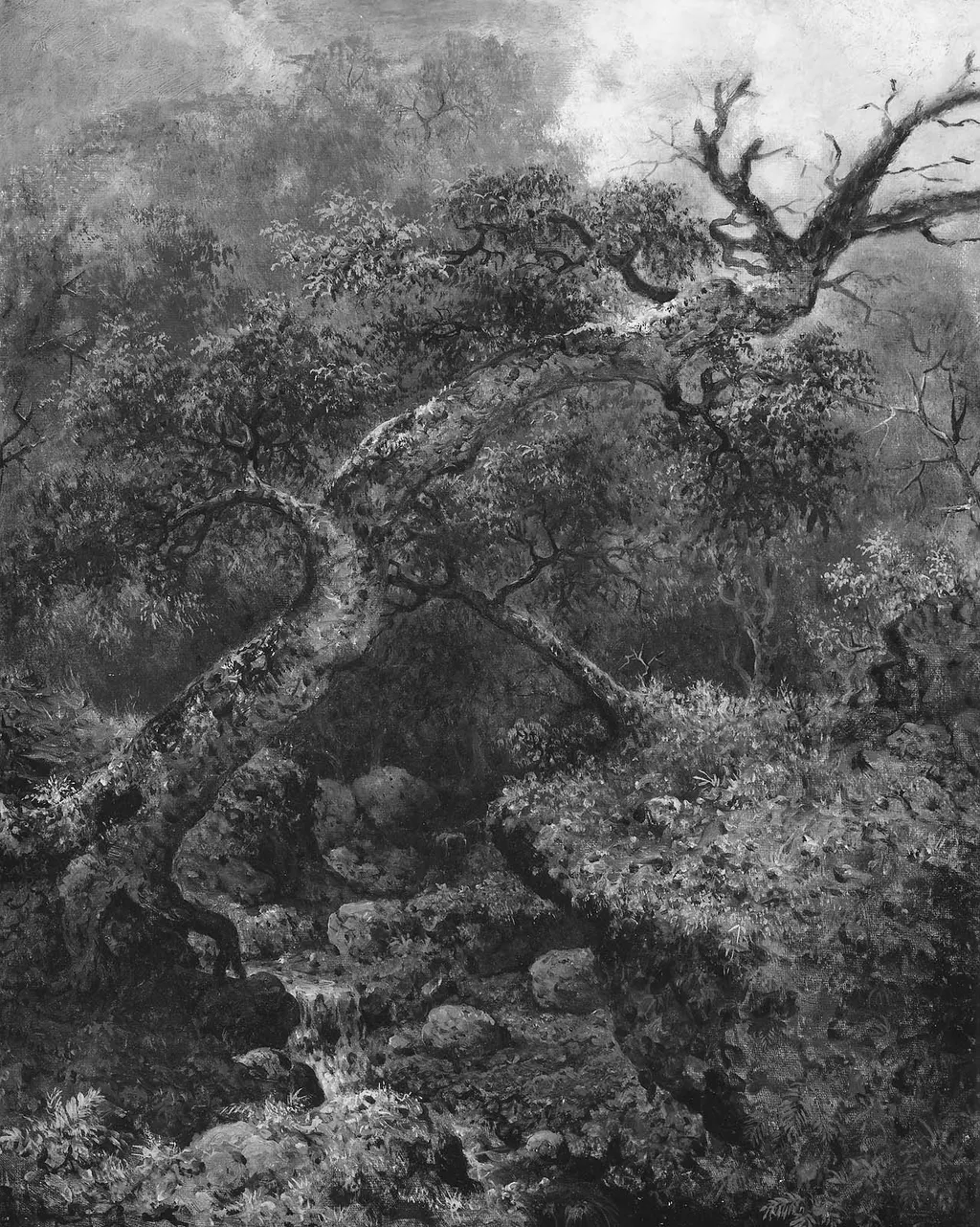 Woodland Sketch, by Martin Johnson Heade, oil, 1863