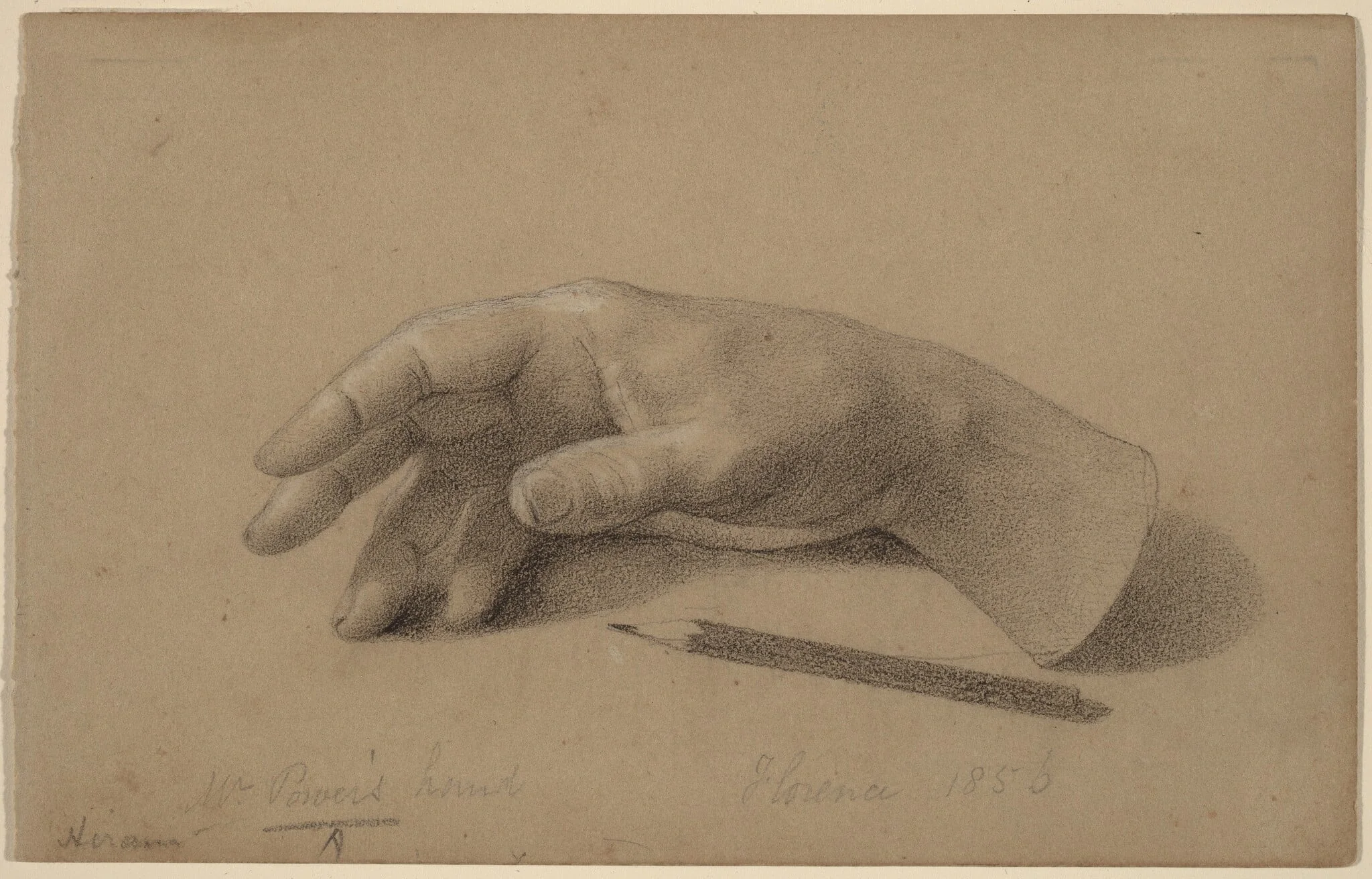 Study of a Hand, detail