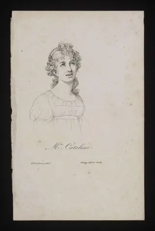 H Beard Print Collection, by Charles Le Brun