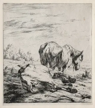 The Two Horses, by Charles Meryon, 1850
