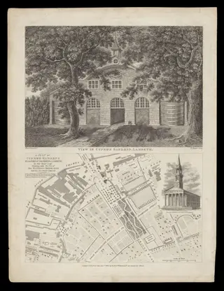 H Beard Print Collection, by Ravenhill, 1