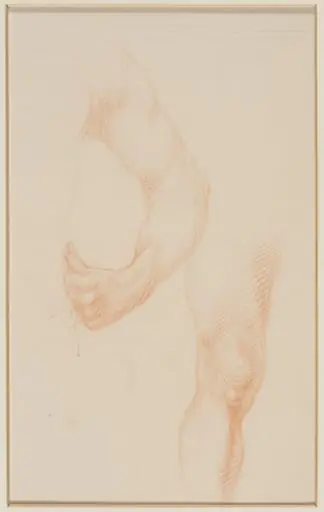 Arm and Leg, by Alfred William Rich, 1898