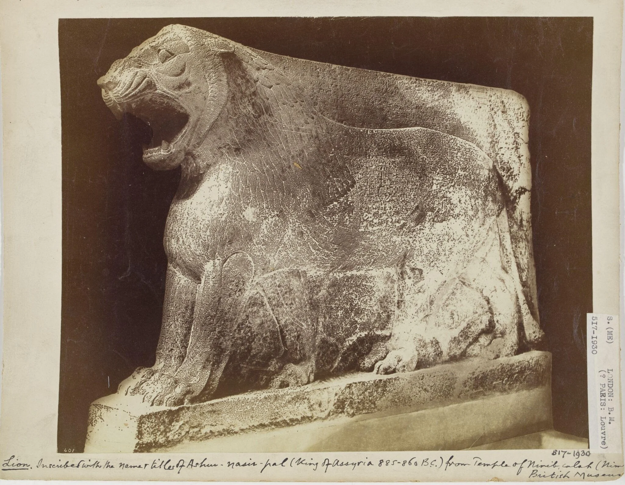 Assyrian sculpture of a lion inscribed with the name and titles of Ashur-nasir-pal (King of Assyria 885-860 B.C.) from the Temple of Nirib, Calah, detail