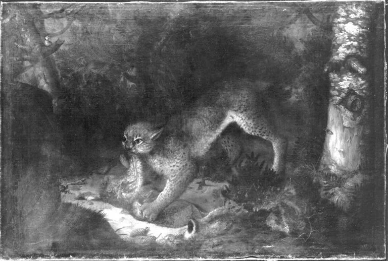 Luchs mit Beute, detail