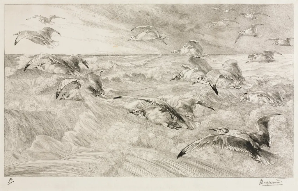 The Seagulls, by Félix Bracquemond, 1880