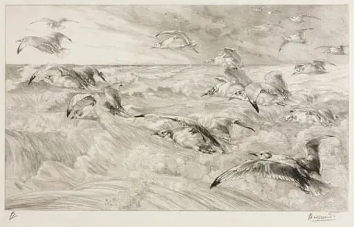 The Seagulls, by Félix Bracquemond, 1880