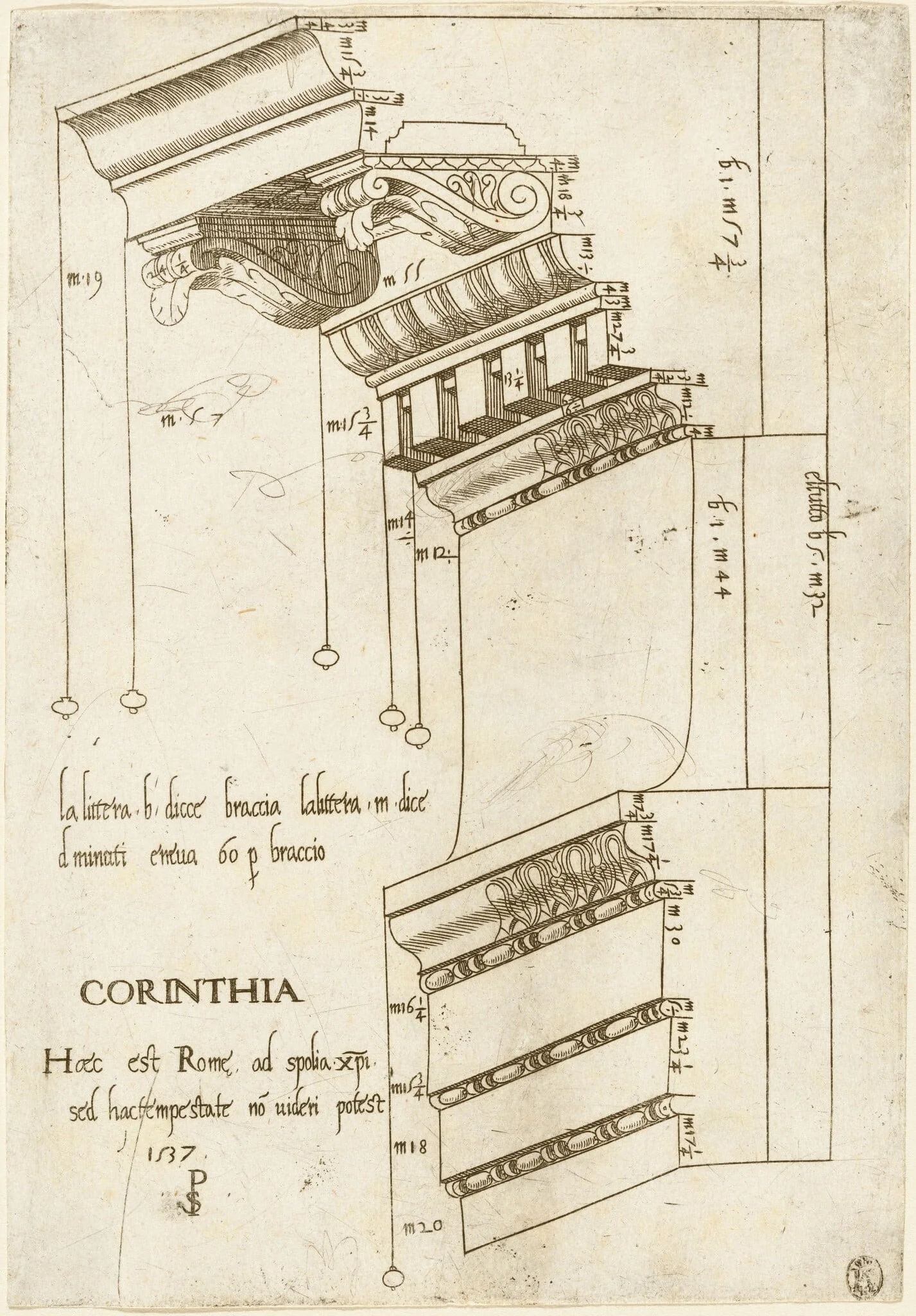 Entablature from the Basilica Ulpia, Rome, detail