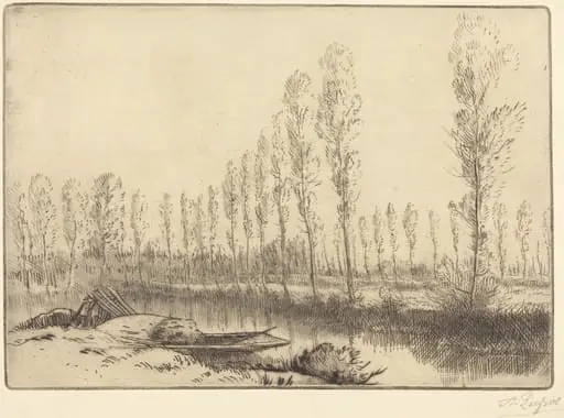 Poplars near Amiens (Pres d'Amiens, les tourbieres), by Alphonse Legros, ink, 1874