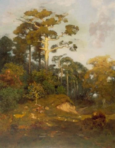 Landscape, detail
