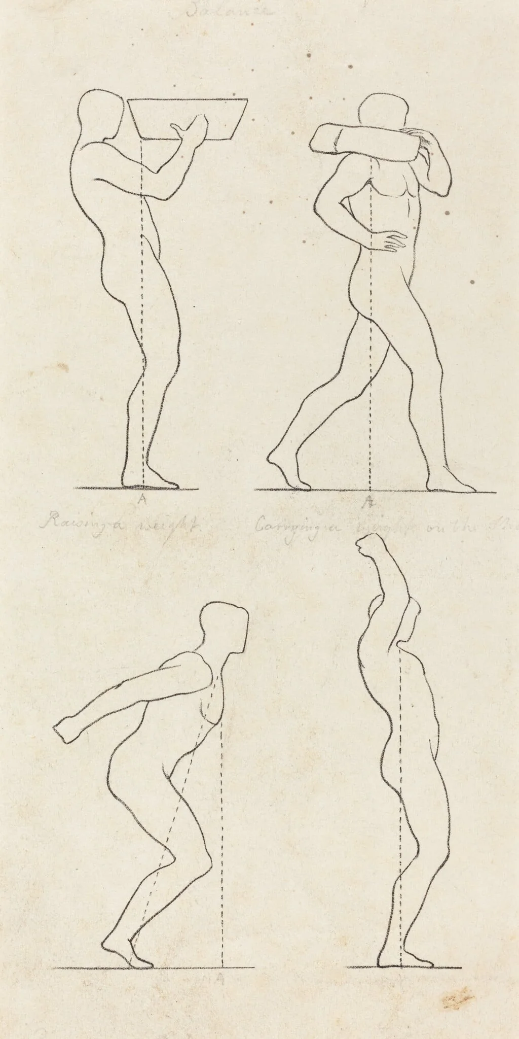 Bearing a Weight; Preparing to Jump, and Alighting, detail