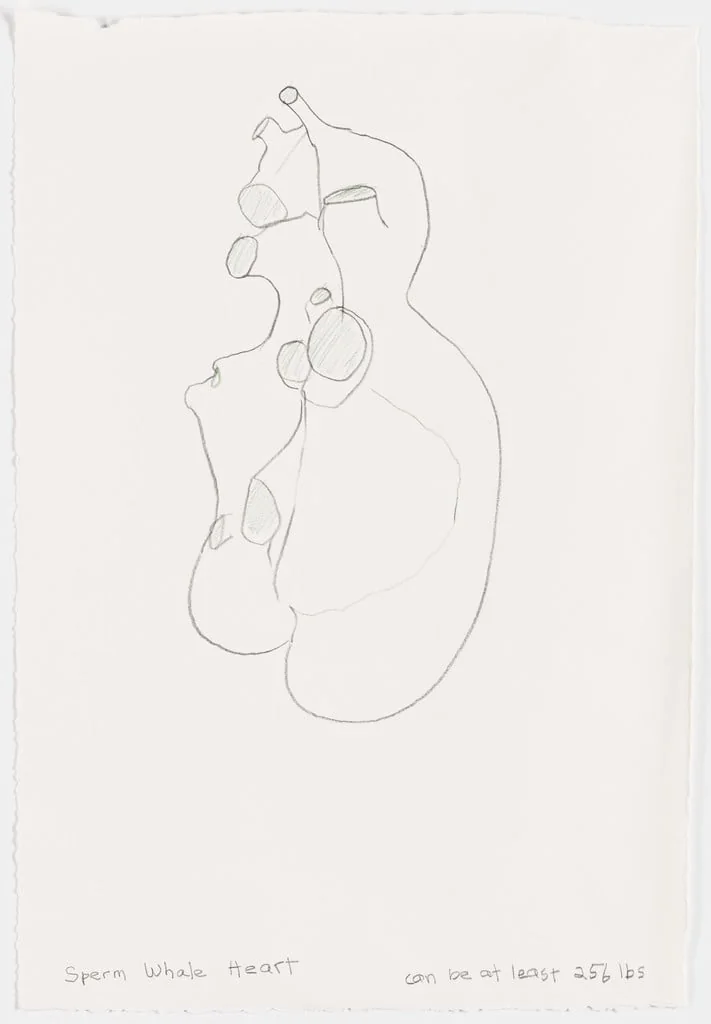 Untitled, detail