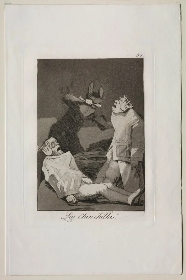 The Chinchillas, Plate 50, detail
