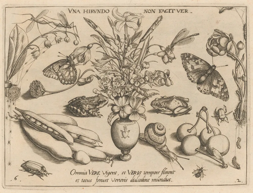Archetypa studiaque patris Georgii Hoefnagelii [Part 2, Plate 6], by Jacob Hoefnagel, ink, 1592