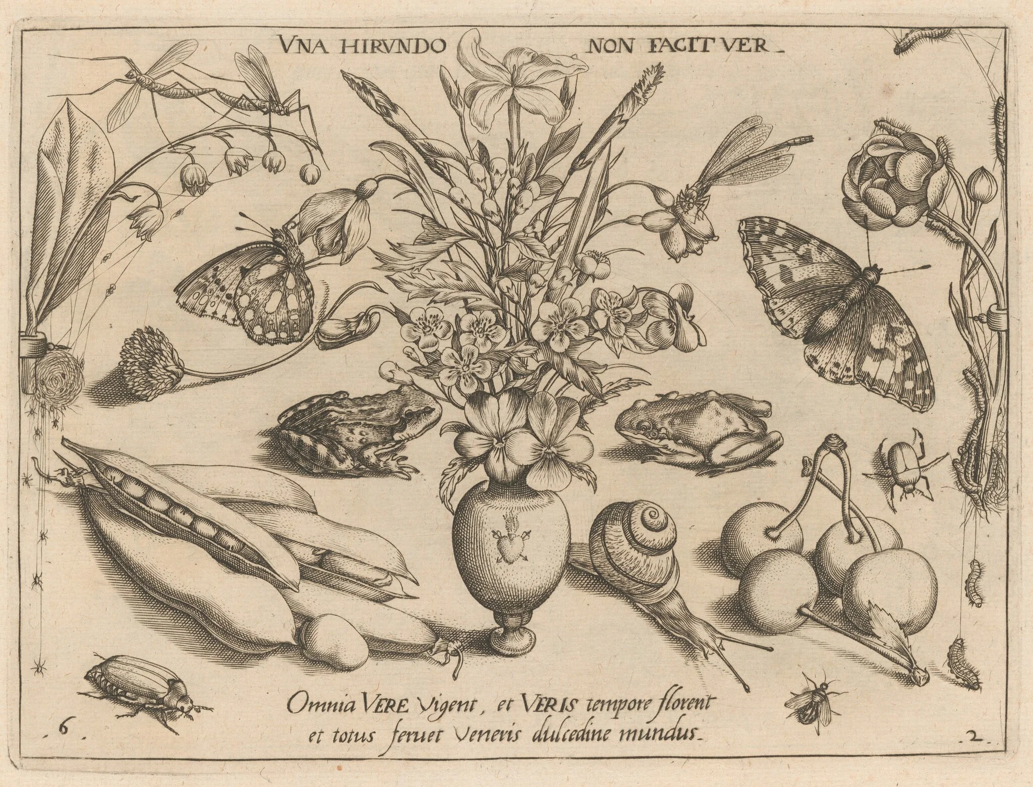 Archetypa studiaque patris Georgii Hoefnagelii [Part 2, Plate 6], detail