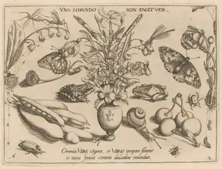 Archetypa studiaque patris Georgii Hoefnagelii [Part 2, Plate 6], by Jacob Hoefnagel, ink, 1592