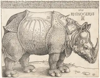 The Rhinoceros, by Albrecht Dürer, ink, 1515