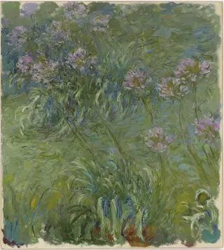 Agapanthus, by Claude Monet, oil, 1914