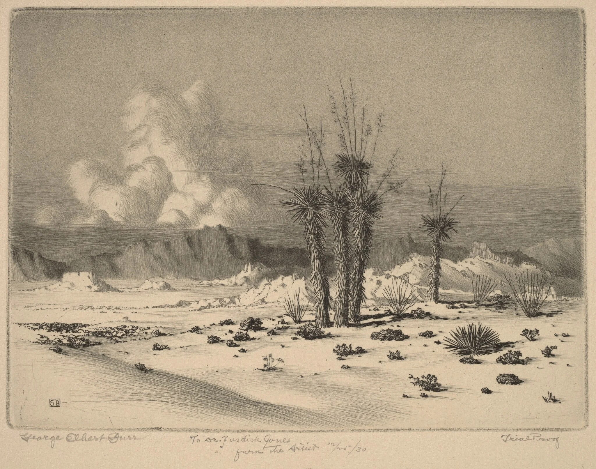 Evening, Arizona, detail