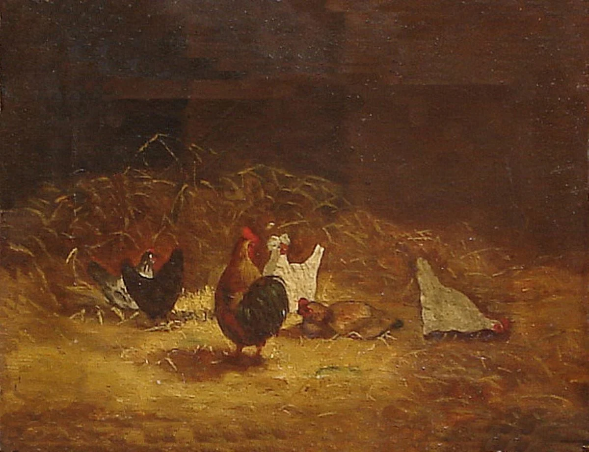 Găini, detail