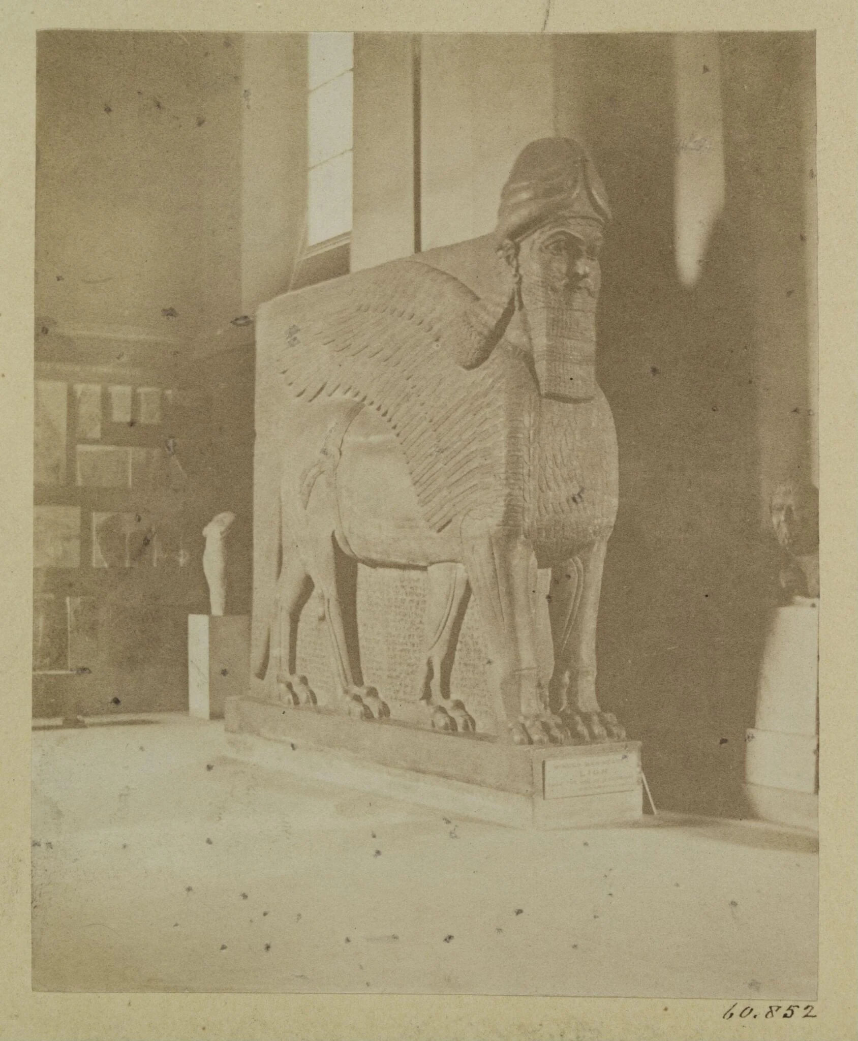 Assyrian sculpture of a lion winged. London: British Museum, detail