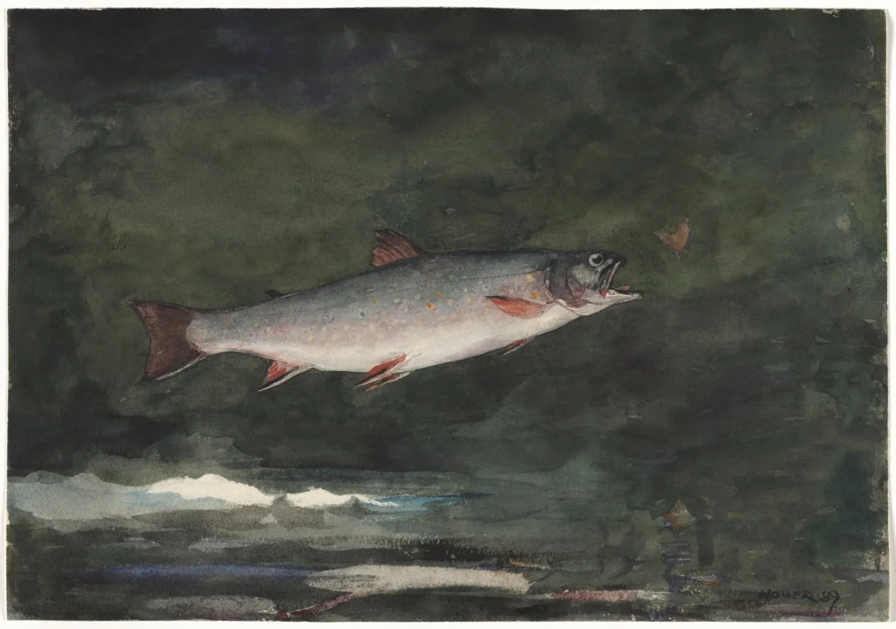 Leaping Trout, detail