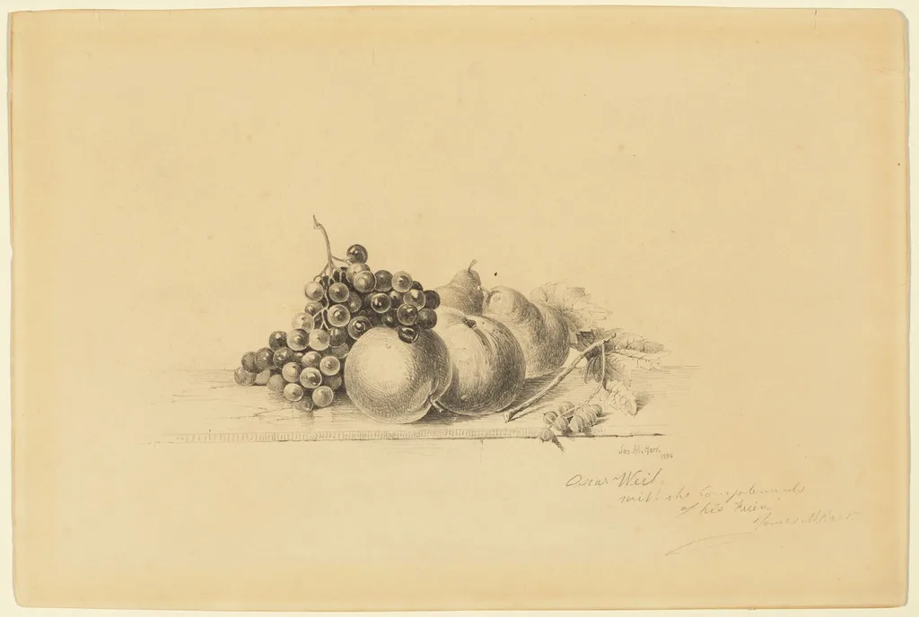 Still Life with Fruit, by James McDougal Hart, graphite, 1856