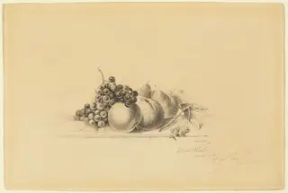 Still Life with Fruit, by James McDougal Hart, graphite, 1856