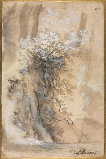 Flowering Bush above an Eroded Bank, by Federico Barocci