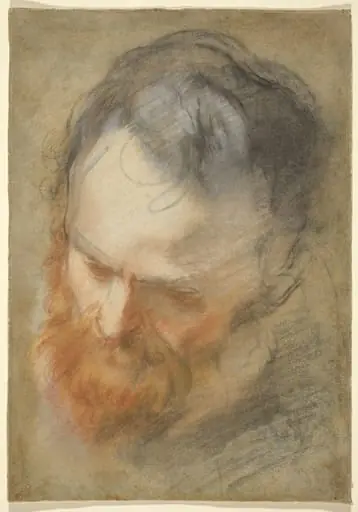 Head of a Bearded Man, by Federico Barocci