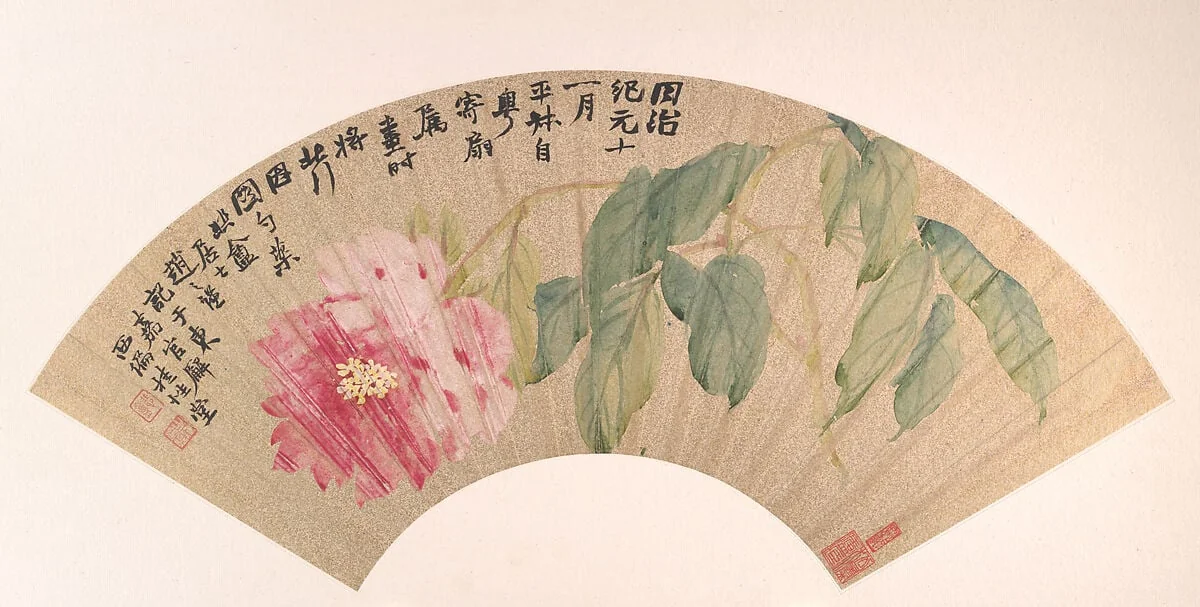 清 趙之謙 芍藥 扇面|Peony, detail