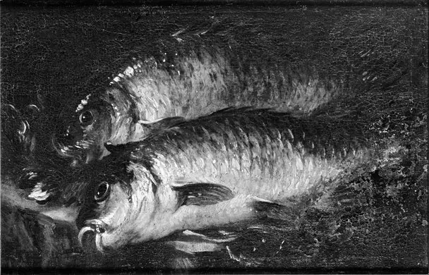 Two Carps on a Kitchen Table, by Felice Boselli