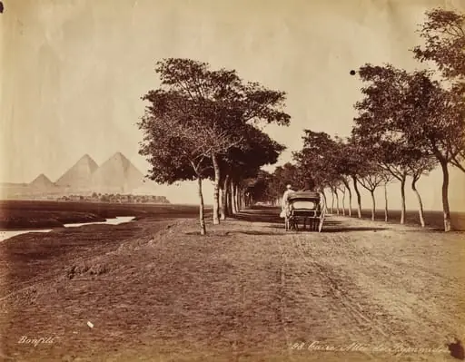 Caire. Allée de Pyramides, by Félix Bonfils